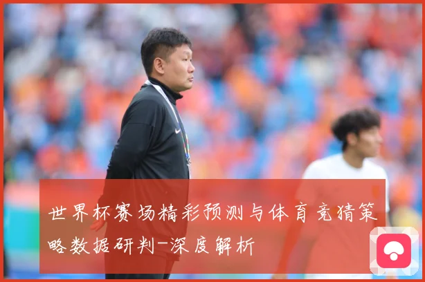 世界杯赛场精彩预测与体育竞猜策略数据研判-深度解析